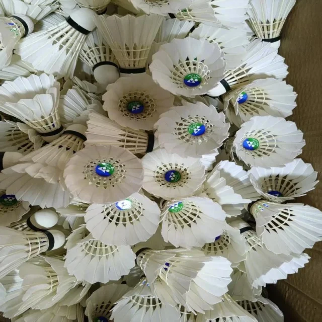 聚焦体育新闻资讯与赛事动态最新解析